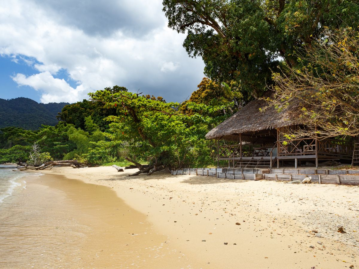 Нетронутая природа Мадагаскара