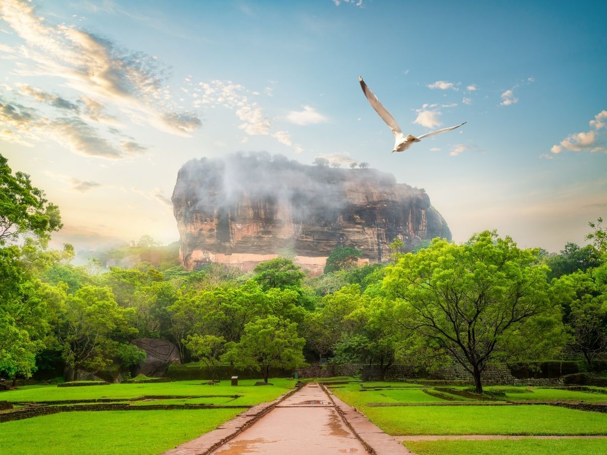 Жемчужина Индийского Океана