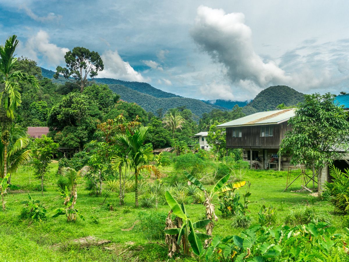 Неизведанная Малайзия