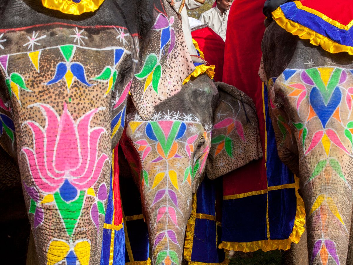 Золотой Треугольник