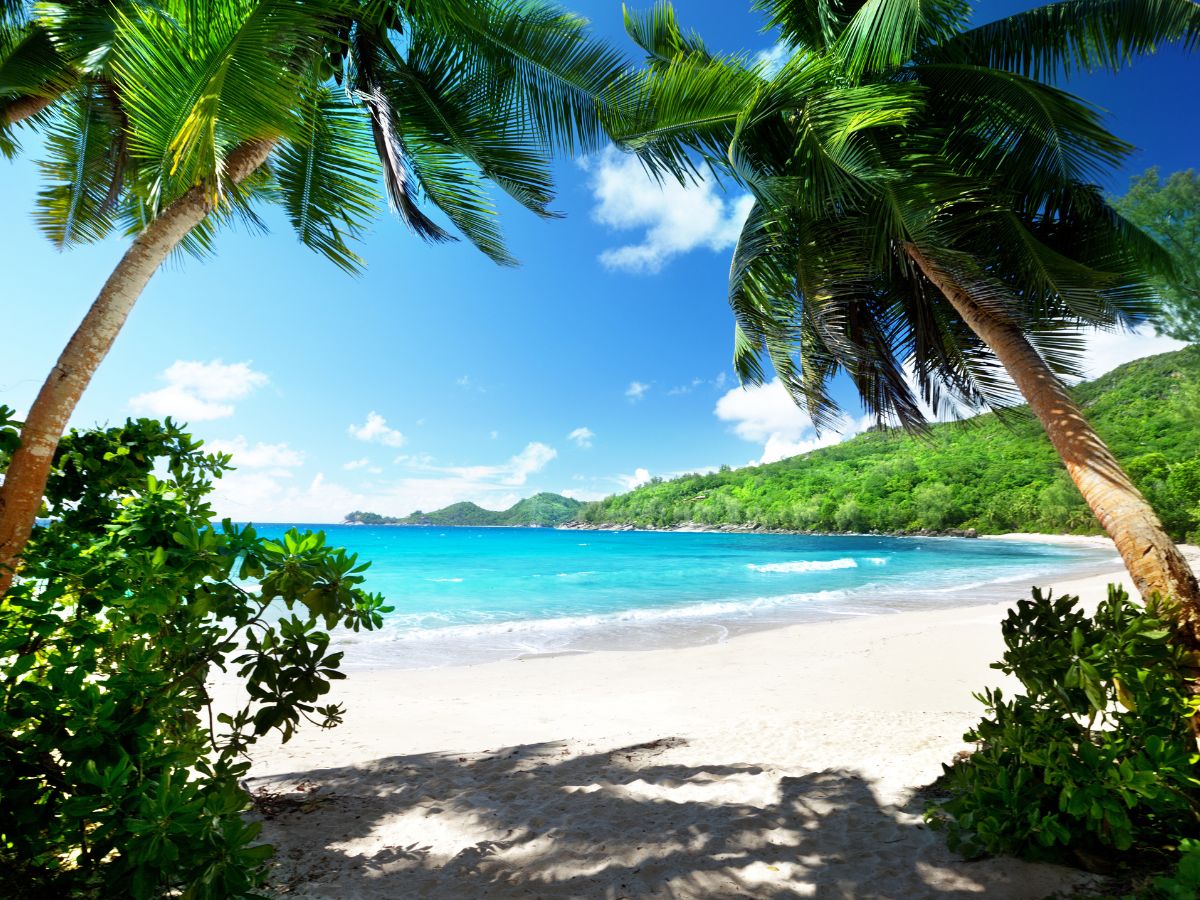 Отдых на Сейшелах