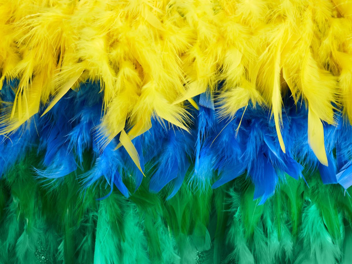 Тропический Парад Чемпионов Карнавала