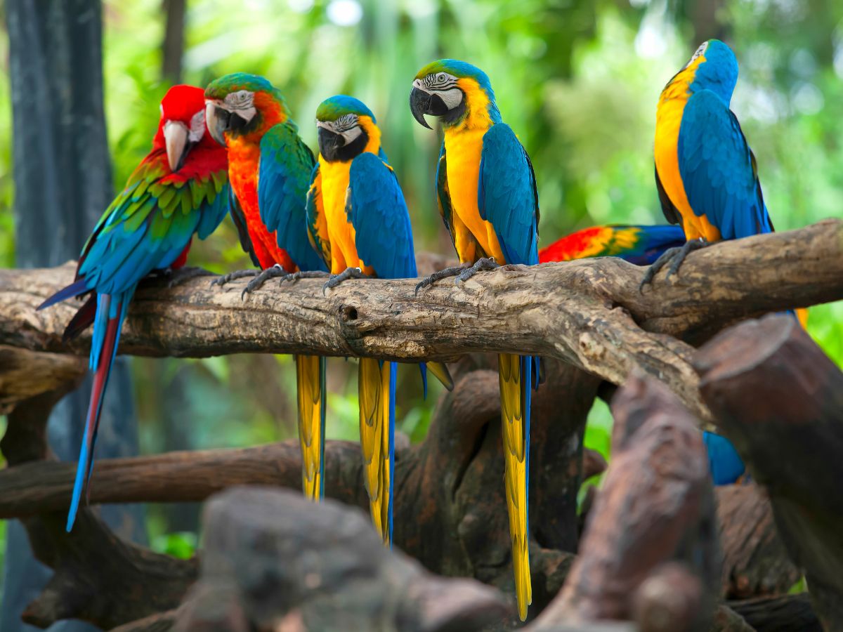 От льда к водопадам