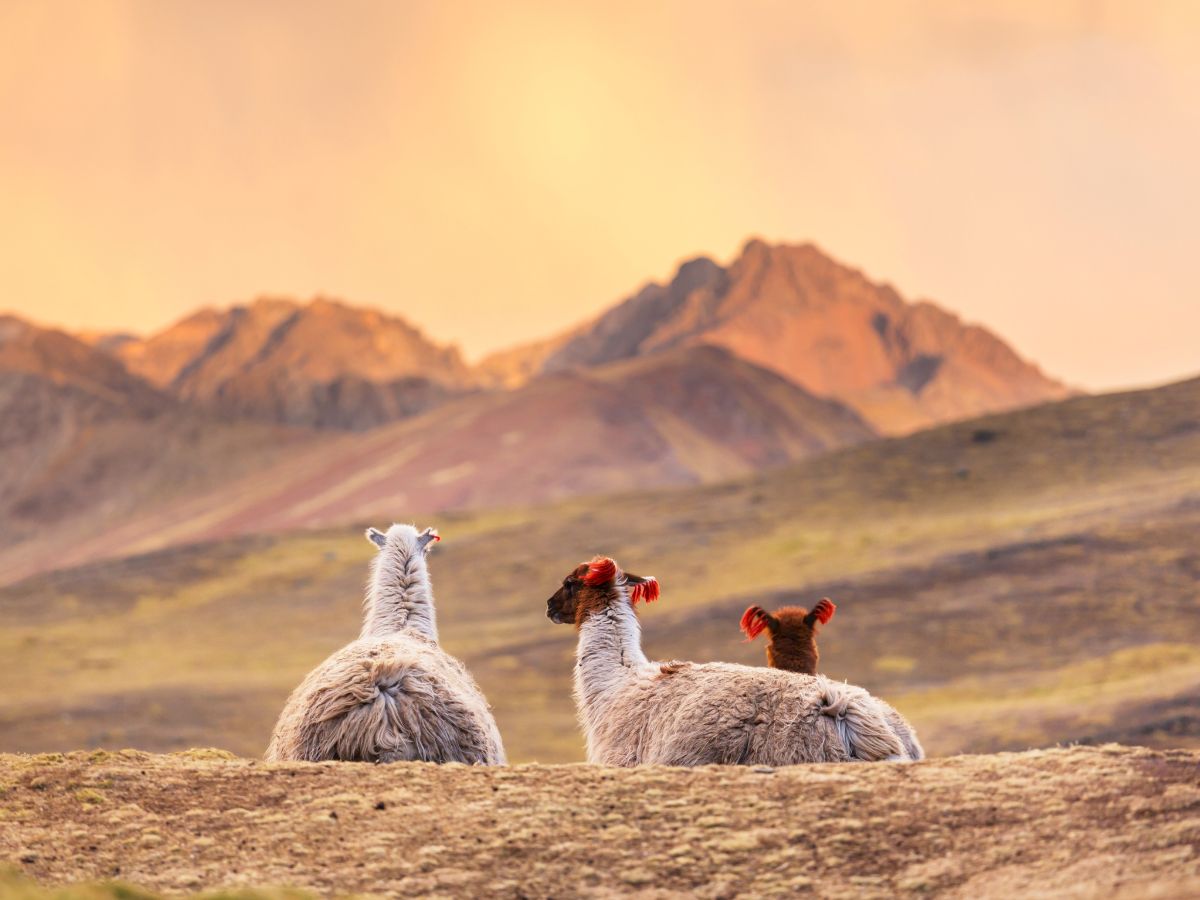 Весь Многоликий Перу и Аргентина
