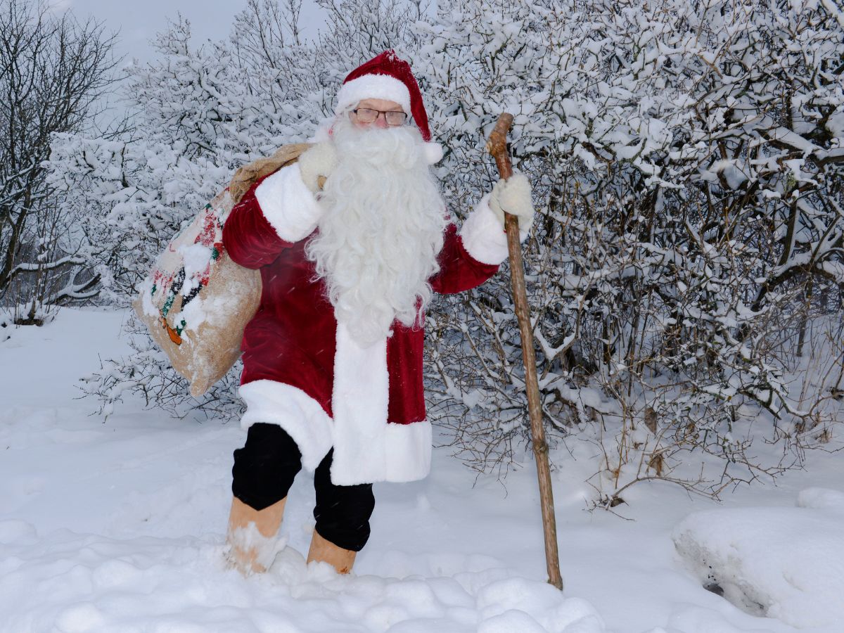 Сказочный Новый год в Финляндии