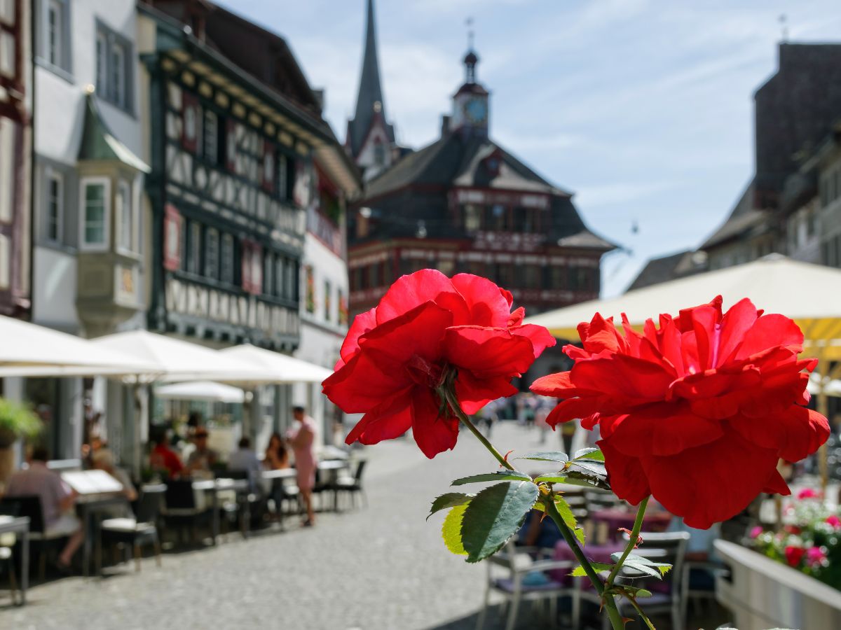 Италия Швейцария Лихтенштейн